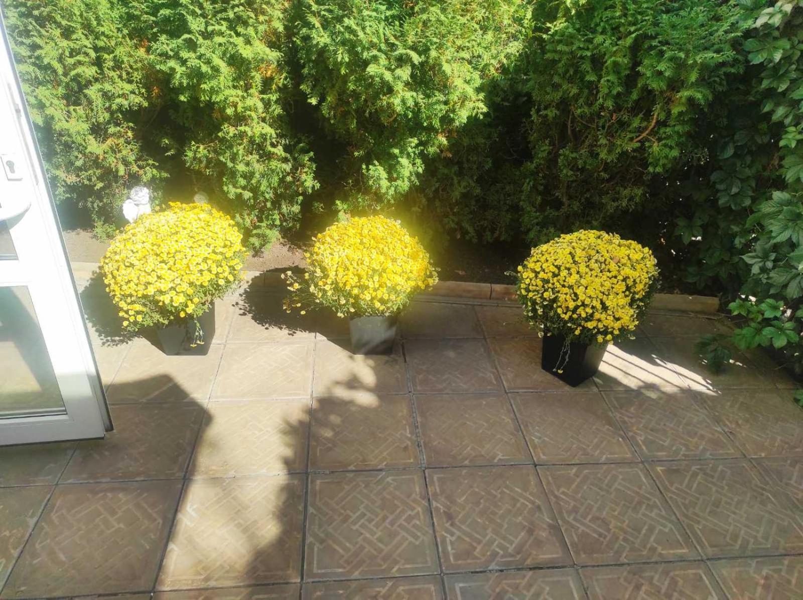 Шляпа Hotel Dnipro Exterior photo
